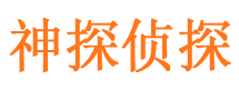 城东市侦探调查公司